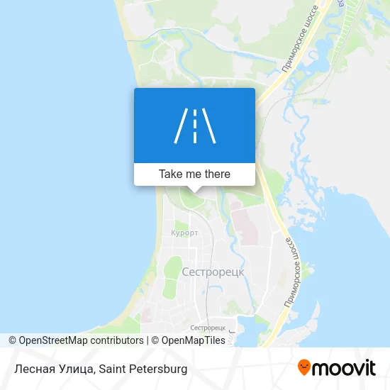 Лесная Улица map