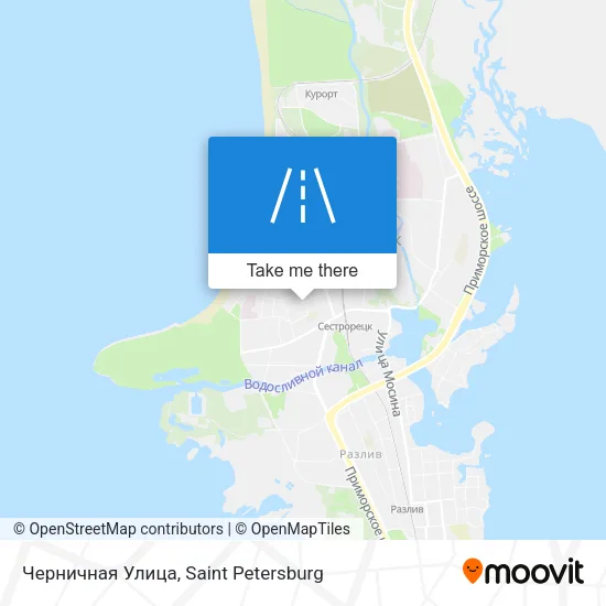 Черничная Улица map