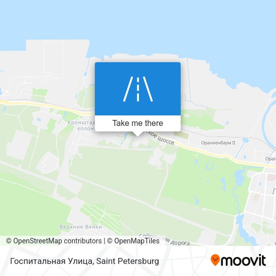 Госпитальная Улица map