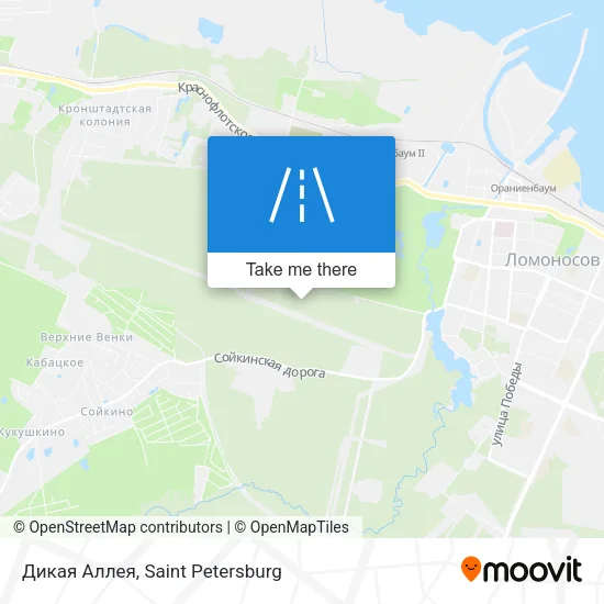 Дикая Аллея map