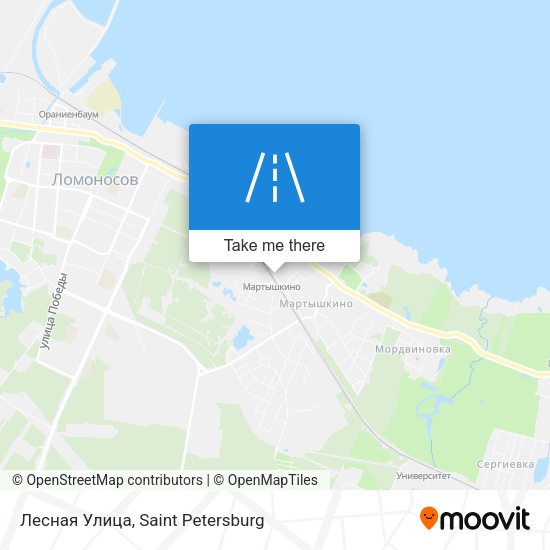 Лесная Улица map
