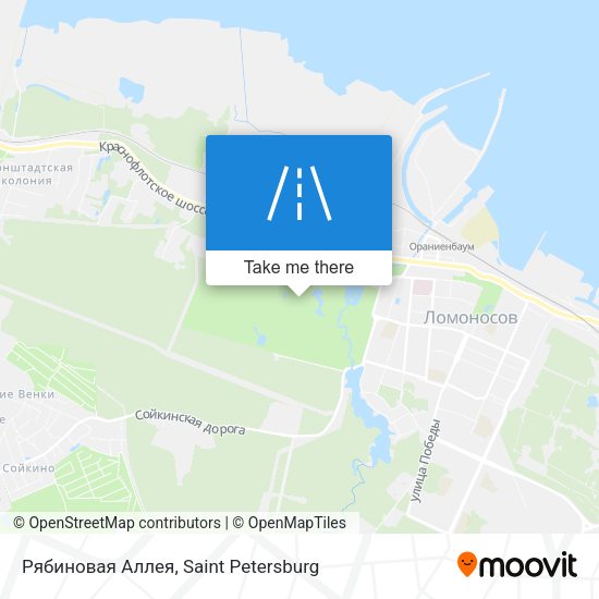 Рябиновая Аллея map