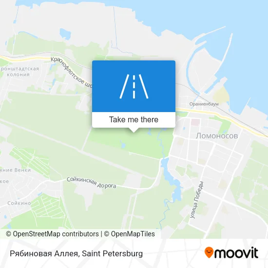 Рябиновая Аллея map