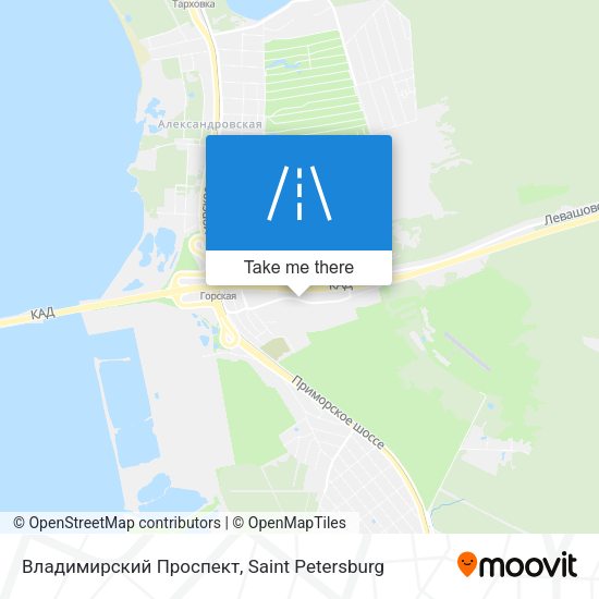 Владимирский Проспект map