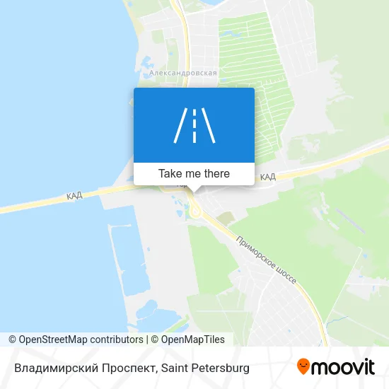 Владимирский Проспект map