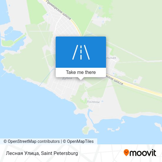 Лесная Улица map