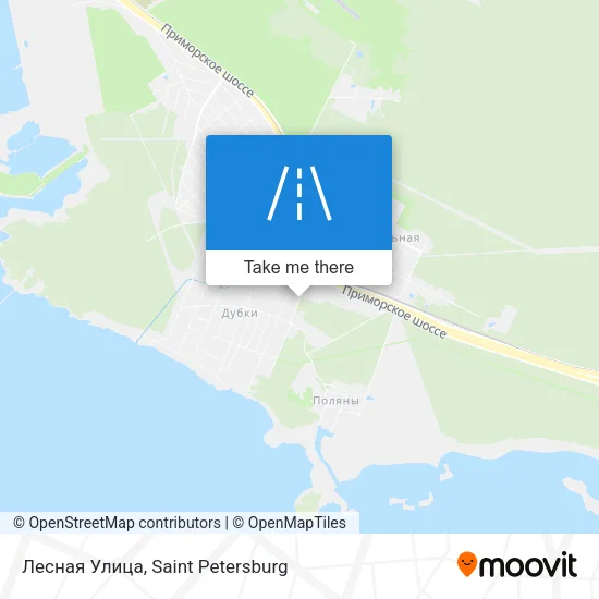 Лесная Улица map