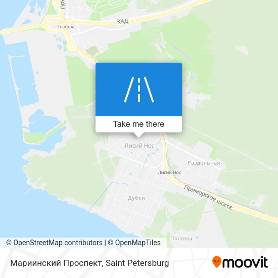 Мариинский Проспект map