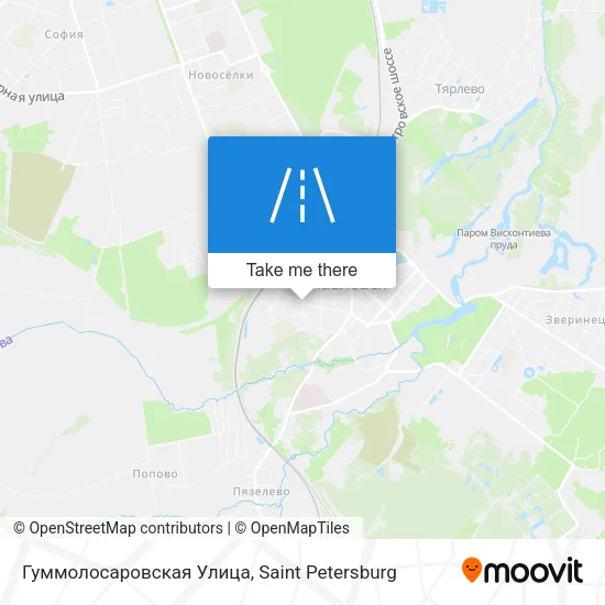 Гуммолосаровская Улица map