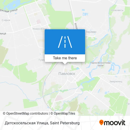 Детскосельская Улица map