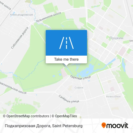 Подкапризовая Дорога map