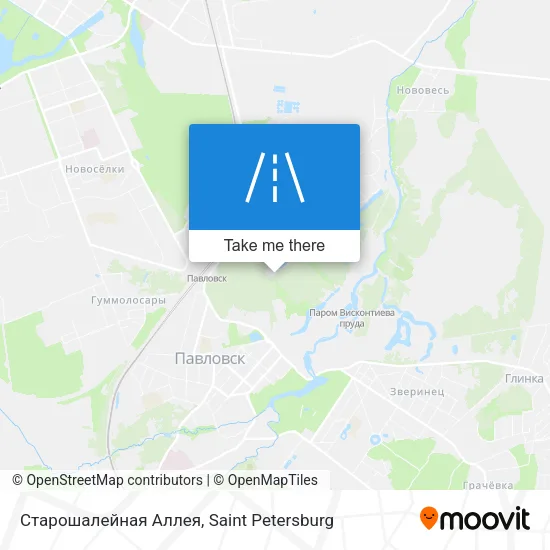Старошалейная Аллея map