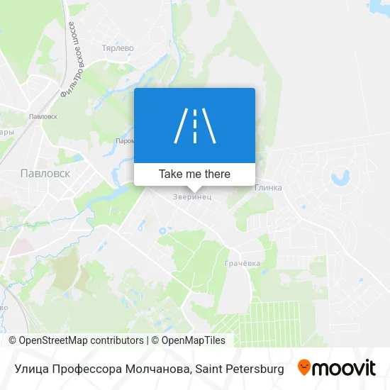Улица Профессора Молчанова map