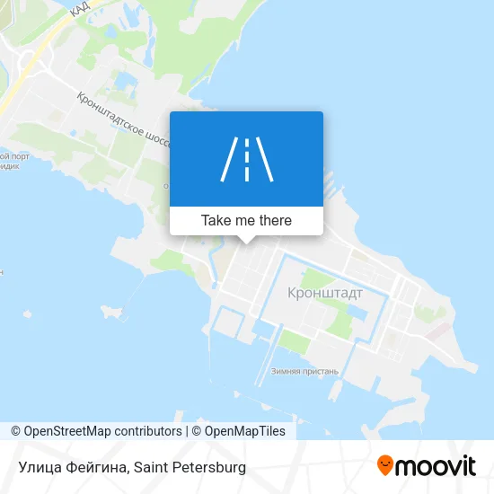 Улица Фейгина map