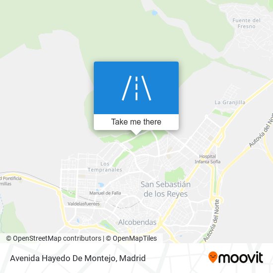 Avenida Hayedo De Montejo map