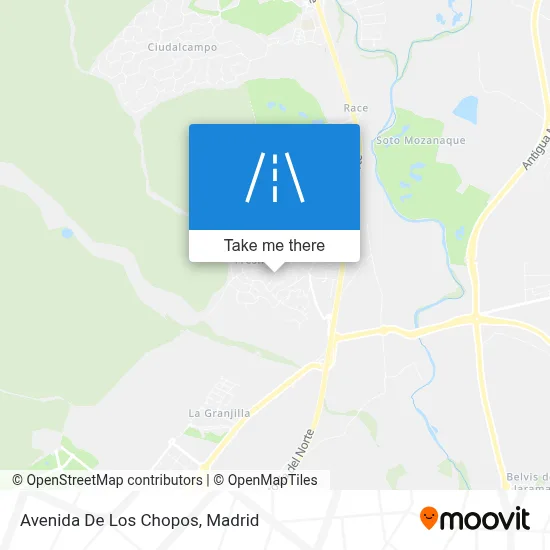 Avenida De Los Chopos map
