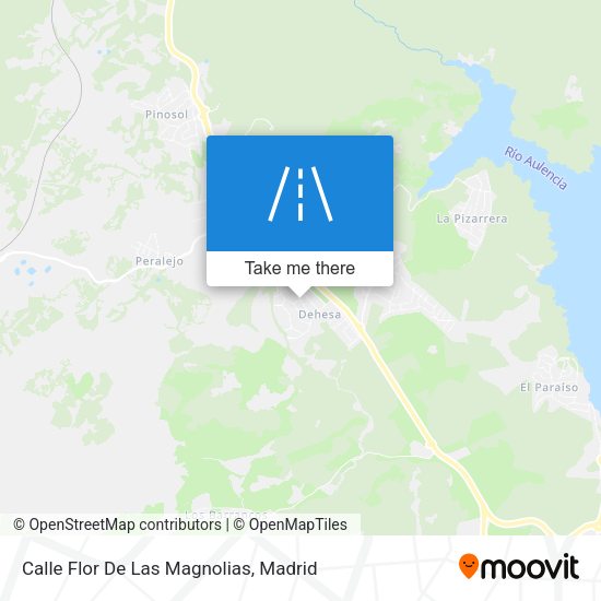Calle Flor De Las Magnolias map