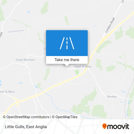 Little Gulls map