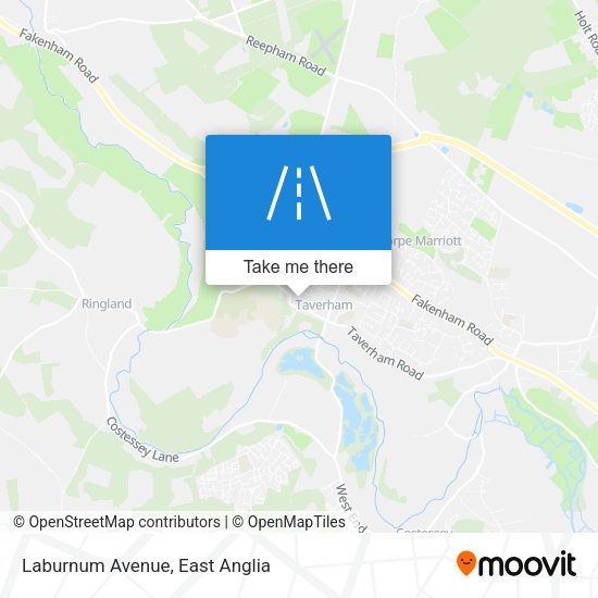 Laburnum Avenue map