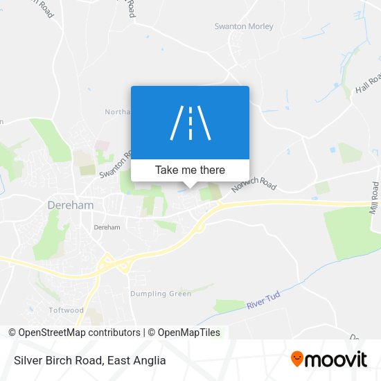 Silver Birch Road map