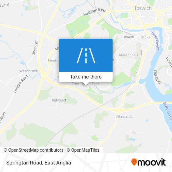 Springtail Road map