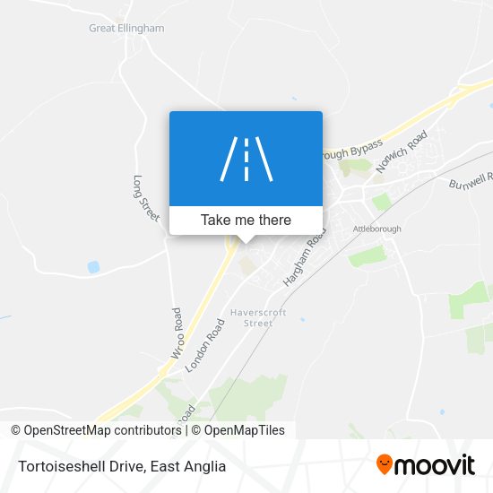 Tortoiseshell Drive map