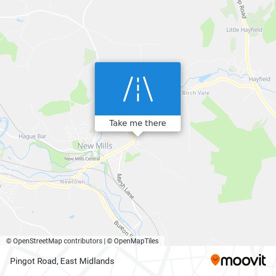 Pingot Road map