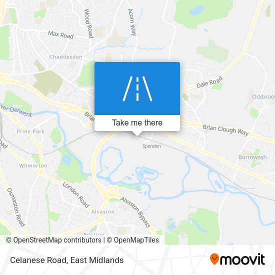 Celanese Road map