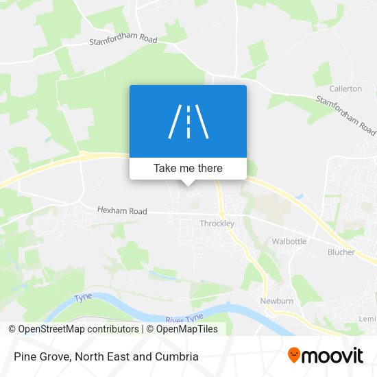 Pine Grove map