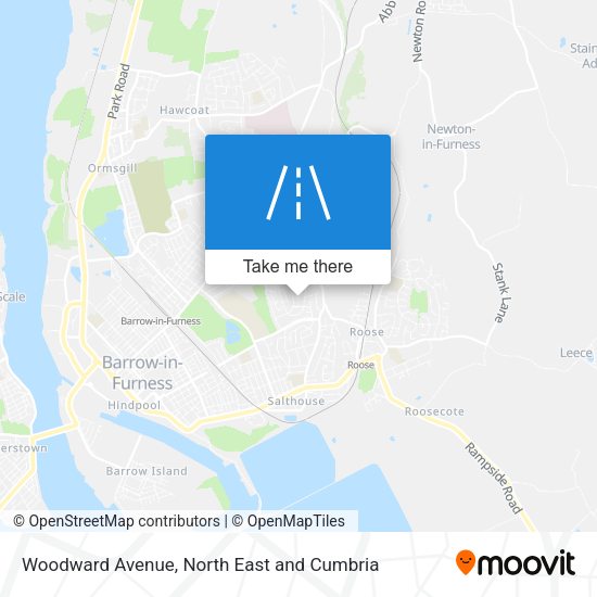 Woodward Avenue map