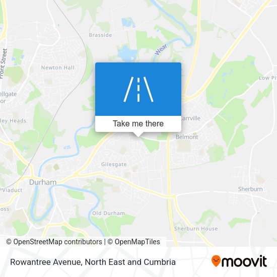 Rowantree Avenue map