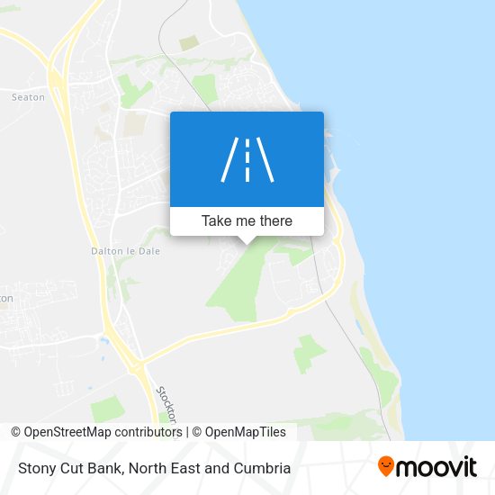 Stony Cut Bank map
