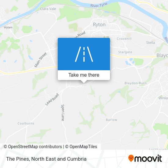 The Pines map