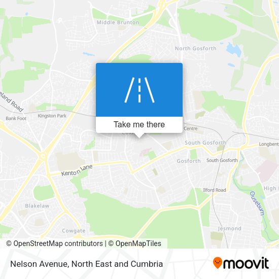 Nelson Avenue map