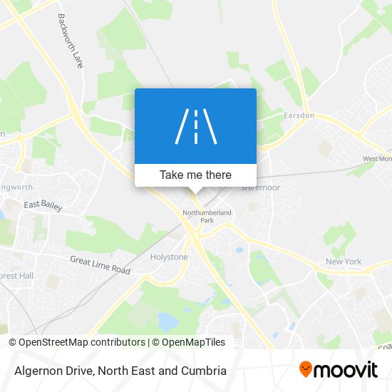 Algernon Drive map