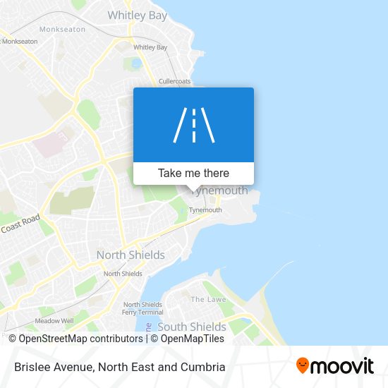 Brislee Avenue map