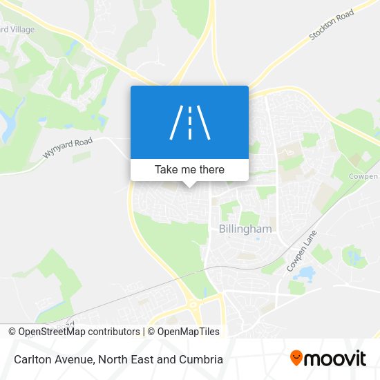 Carlton Avenue map