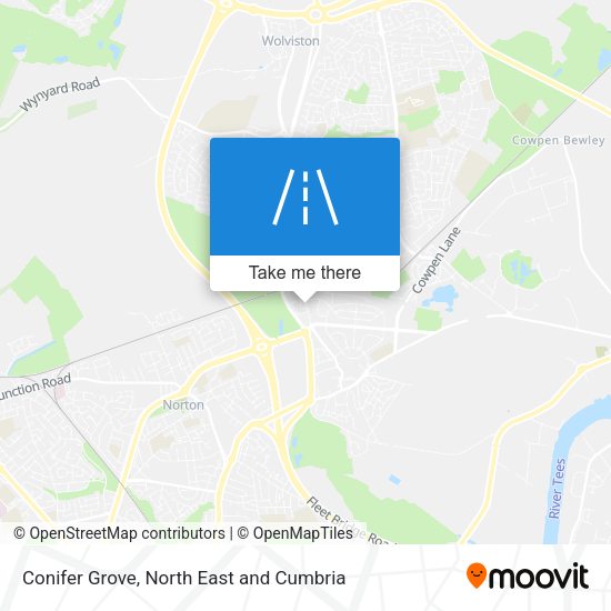 Conifer Grove map