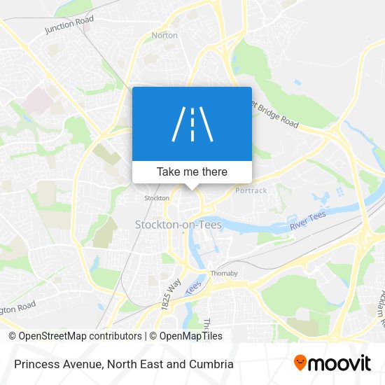 Princess Avenue map
