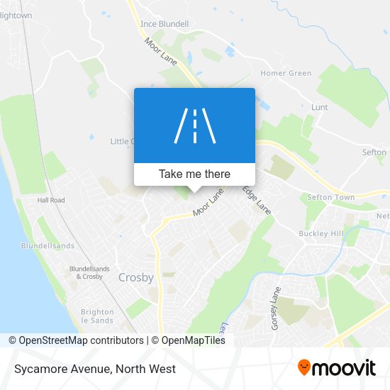 Sycamore Avenue map