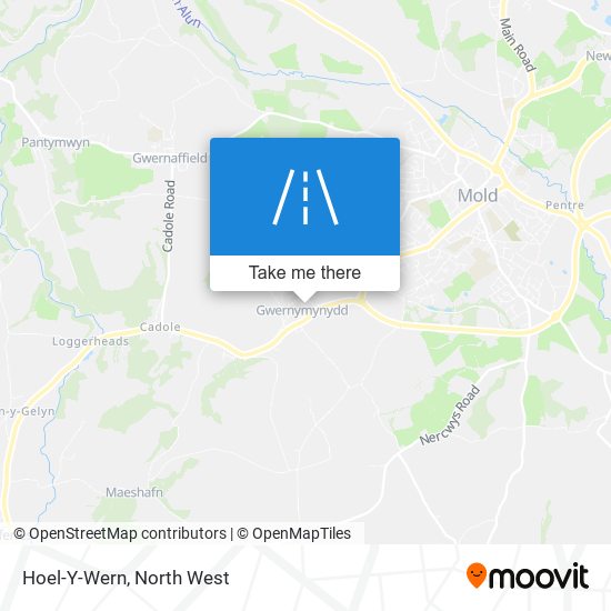 Hoel-Y-Wern map