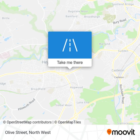 Olive Street map