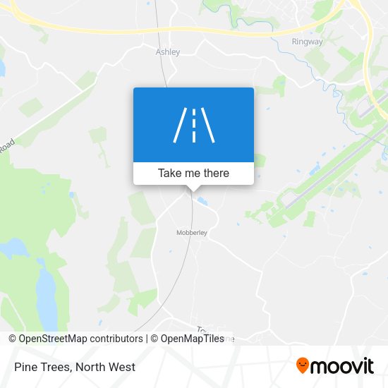 Pine Trees map
