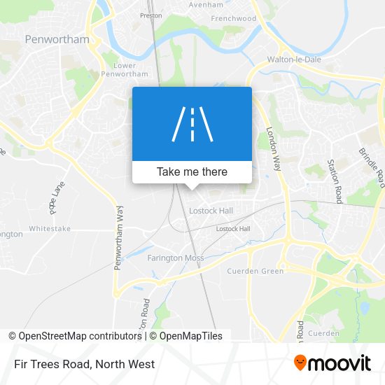 Fir Trees Road map