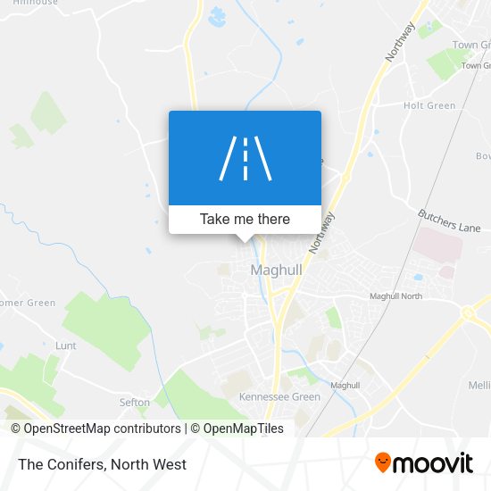 The Conifers map