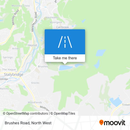 Brushes Road map