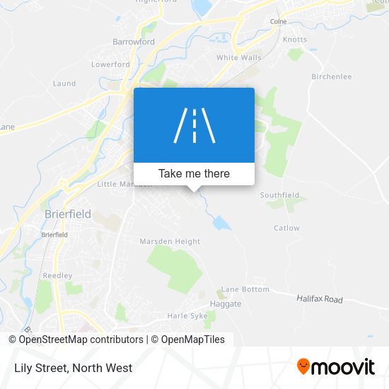 Lily Street map
