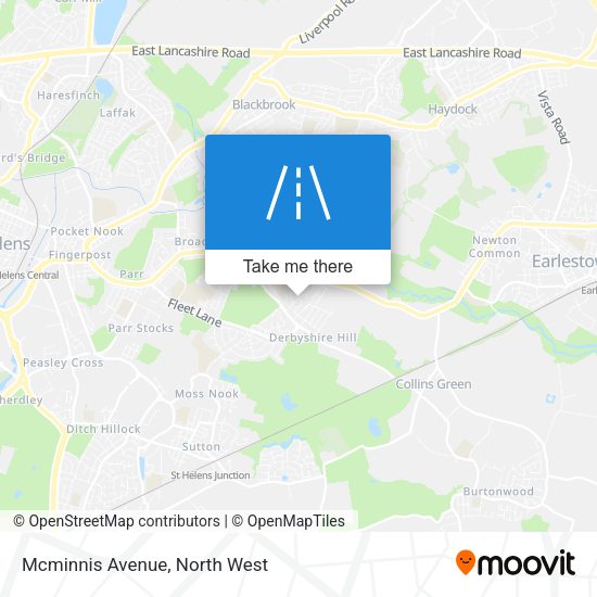 Mcminnis Avenue map
