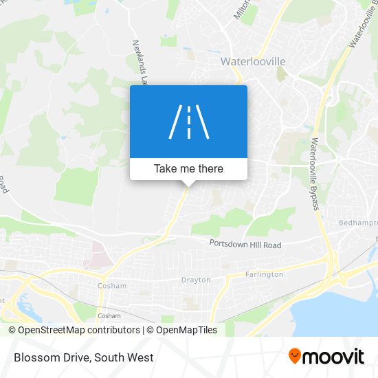 Blossom Drive map