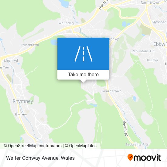 Walter Conway Avenue map